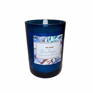 DW Home Blue Lagoon Candle || coconut wax blend